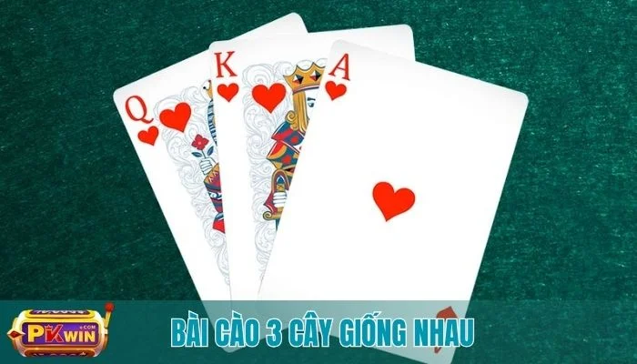 Bài cào 3 cây giống nhau