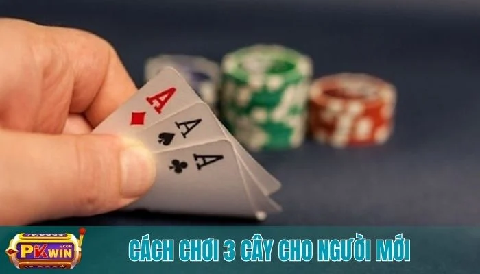 cách chơi 3 cây cho người mới