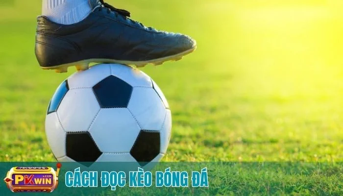 cách đọc kèo bóng đá