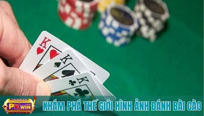 hình ảnh đánh bài cào