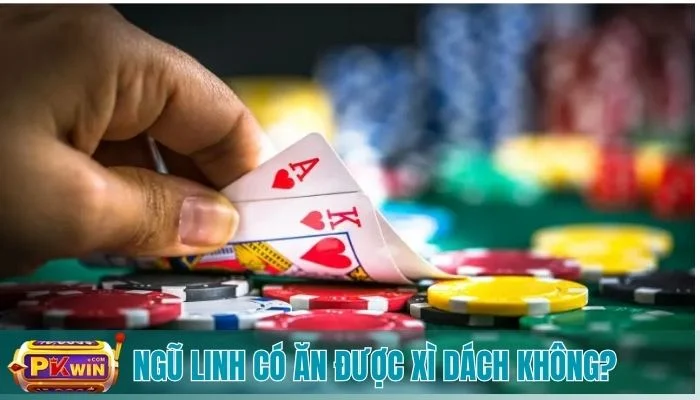 Ngũ Linh Có Ăn Được Xì Dách Không? Giải Đáp Chi Tiết