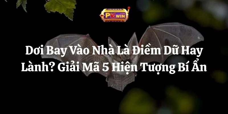 Dơi Bay Vào Nhà Là Điềm Dữ Hay Lành? Giải Mã 5 Hiện Tượng Bí Ẩn