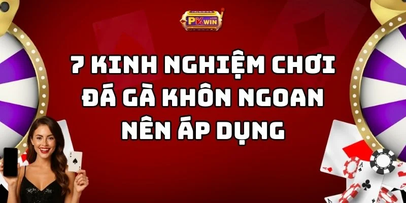 7 Kinh Nghiệm Chơi Đá Gà Khôn Ngoan Nên Áp Dụng