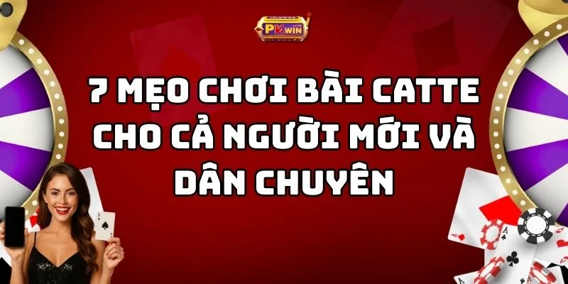 7 Mẹo Chơi Bài Catte Cho Cả Người Mới Và Dân Chuyên