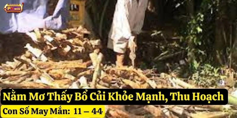 nằm mơ thấy bổ củi pkwin