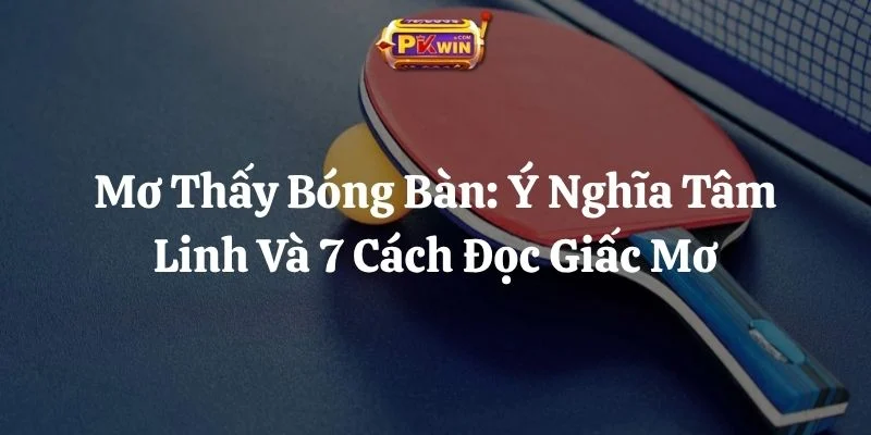 Mơ Thấy Bóng Bàn: Ý Nghĩa Tâm Linh Và 7 Cách Đọc Giấc Mơ