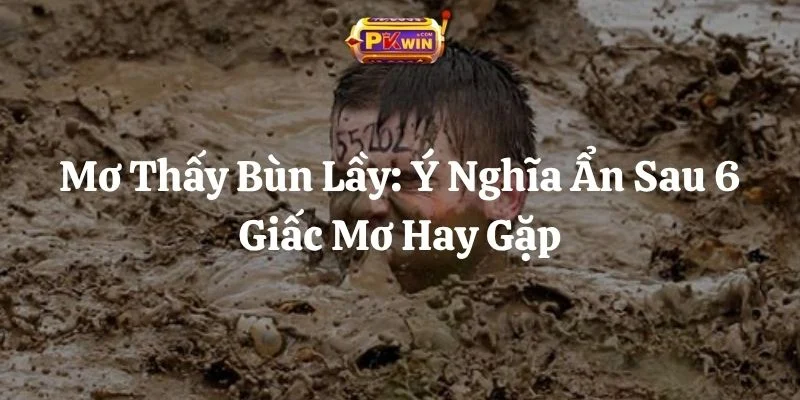 Mơ Thấy Bùn Lầy: Ý Nghĩa Ẩn Sau 6 Giấc Mơ Hay Gặp