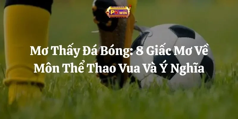 Mơ Thấy Đá Bóng: 8 Giấc Mơ Về Môn Thể Thao Vua Và Ý Nghĩa