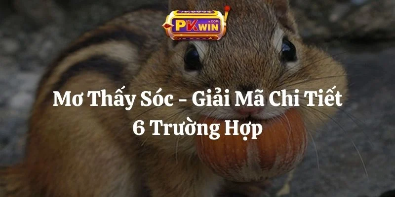 Mơ Thấy Sóc – Giải Mã Chi Tiết 6 Trường Hợp