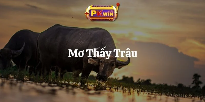 Mơ Thấy Trâu – Điềm Báo Ẩn Sau Và 7 Cặp Số Phát Tài
