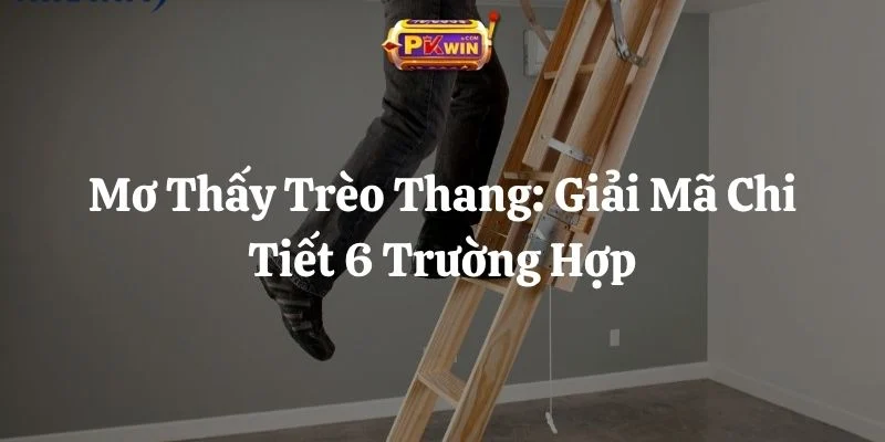 Mơ Thấy Trèo Thang: Giải Mã Chi Tiết 6 Trường Hợp