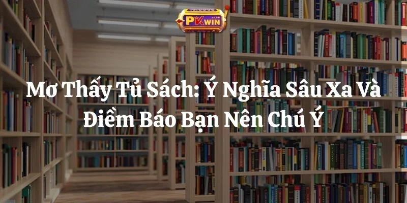 Mơ Thấy Tủ Sách: Ý Nghĩa Sâu Xa Và Điềm Báo Bạn Nên Chú Ý