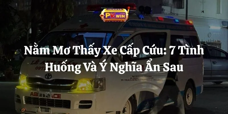 Nằm Mơ Thấy Xe Cấp Cứu: 7 Tình Huống Và Ý Nghĩa Ẩn Sau