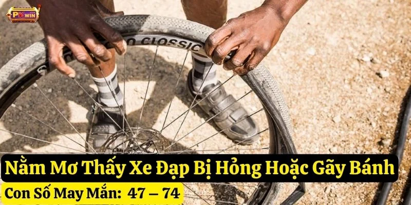 nằm mơ thấy xe đạp pkwin