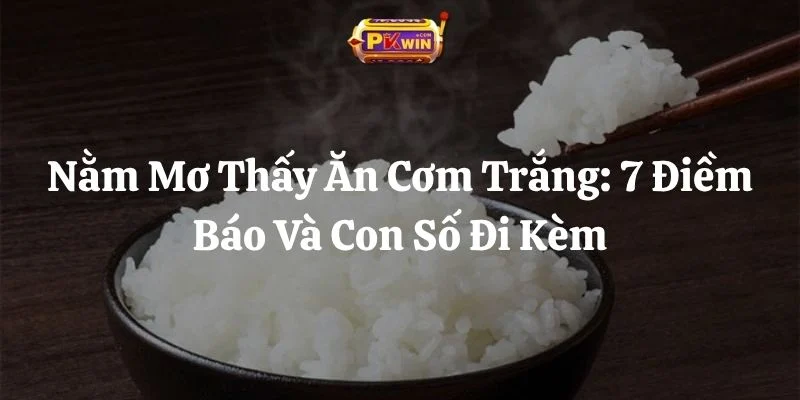 Nằm Mơ Thấy Ăn Cơm Trắng: 7 Điềm Báo Và Con Số Đi Kèm