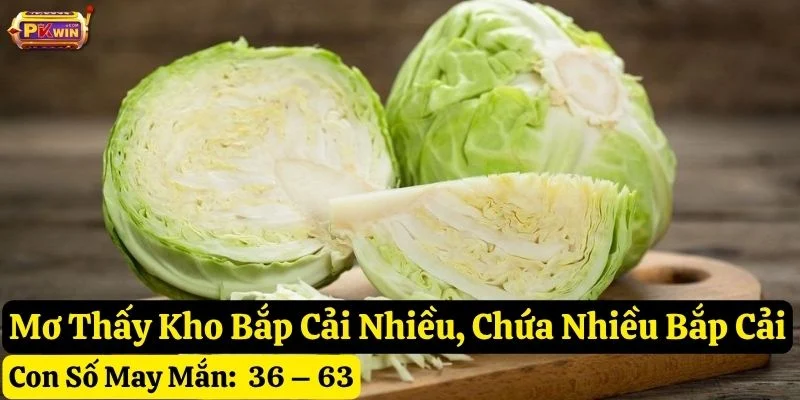 mơ thấy bắp cải pkwin