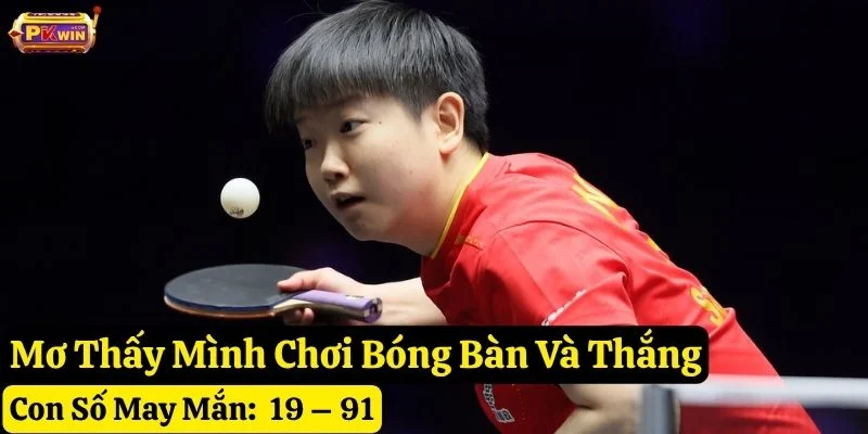 mơ thấy bóng bàn pkwin