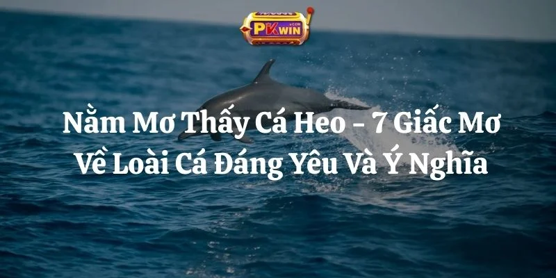 Nằm Mơ Thấy Cá Heo – 7 Giấc Mơ Về Loài Cá Đáng Yêu Và Ý Nghĩa