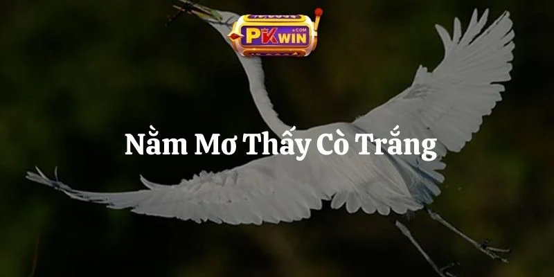 Nằm Mơ Thấy Cò Trắng – Giải Mã 6 Cặp Số Đổi Vận