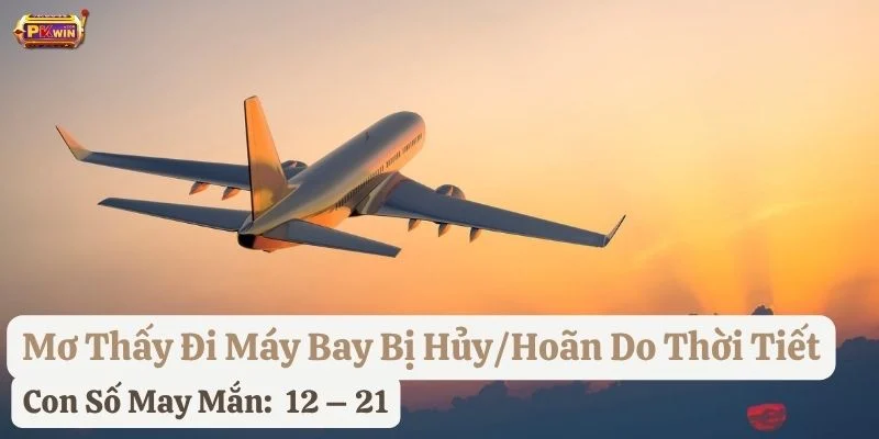 mơ thấy đi máy bay