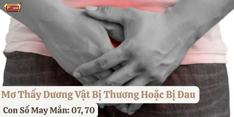 mơ thấy dương vật