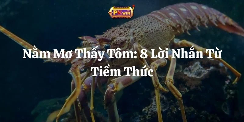 Nằm Mơ Thấy Tôm: 8 Lời Nhắn Từ Tiềm Thức