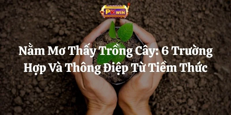 Nằm Mơ Thấy Trồng Cây: 6 Trường Hợp Và Thông Điệp Từ Tiềm Thức