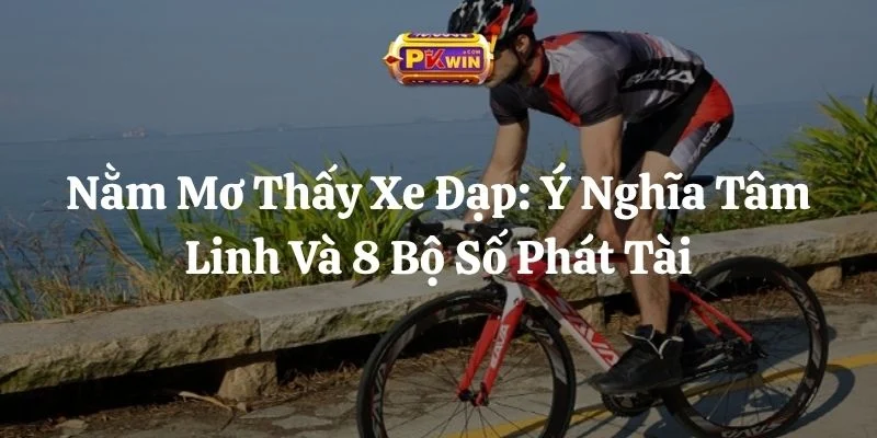 Nằm Mơ Thấy Xe Đạp: Ý Nghĩa Tâm Linh Và 8 Bộ Số Phát Tài