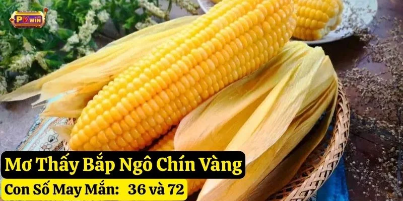 mơ thấy bắp ngô