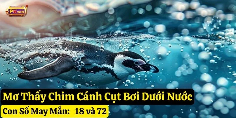 mơ thấy chim cánh cụt pkwin