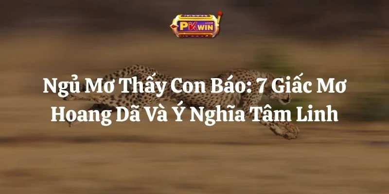 Ngủ Mơ Thấy Con Báo: 7 Giấc Mơ Hoang Dã Và Ý Nghĩa Tâm Linh