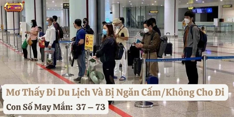 mơ thấy đi du lịch