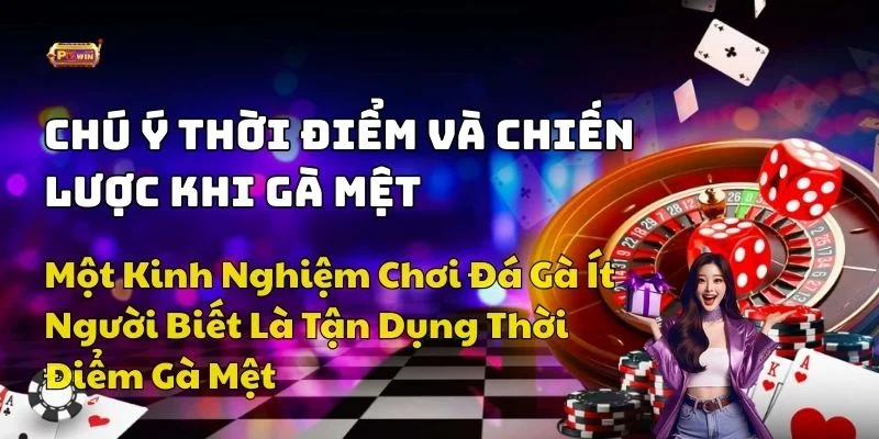 kinh nghiệm chơi đá gà