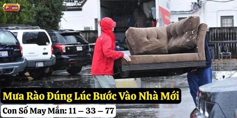 chuyển nhà thấy trời mưa