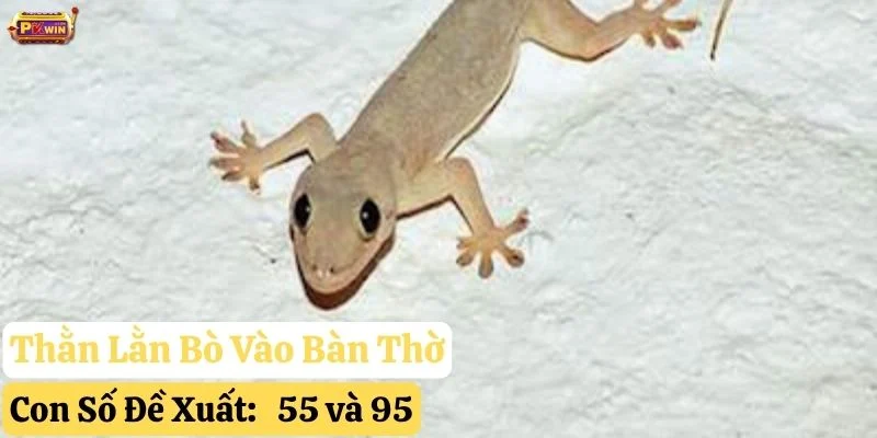 thằn lằn bò vào nhà