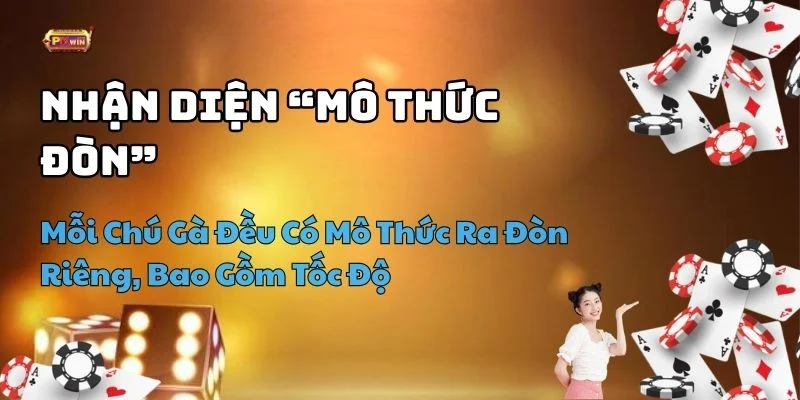 kinh nghiệm chơi đá gà hay