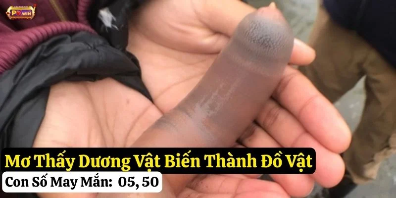 nằm mơ thấy dương vật