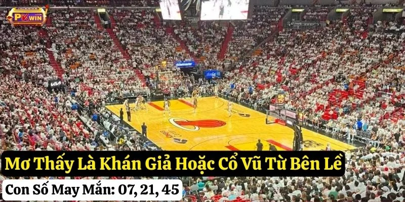 mơ thấy bóng rổ pkwin