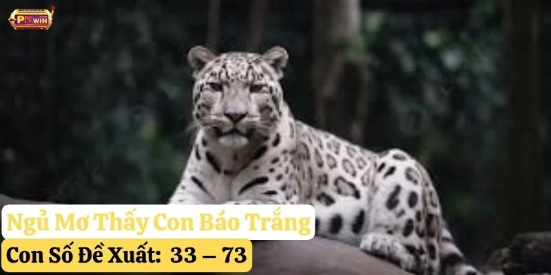 nằm mơ thấy con báo