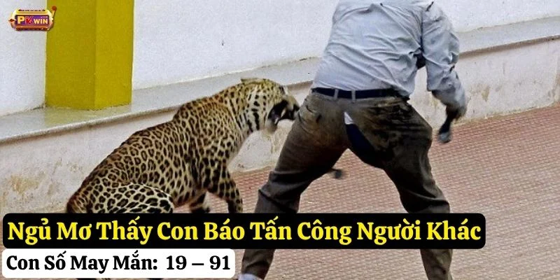 mơ thấy con báo