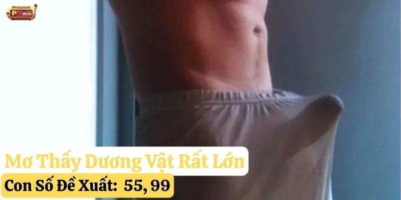 nằm mơ dương vật