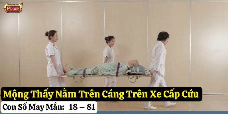 nằm mơ xe cấp cứu