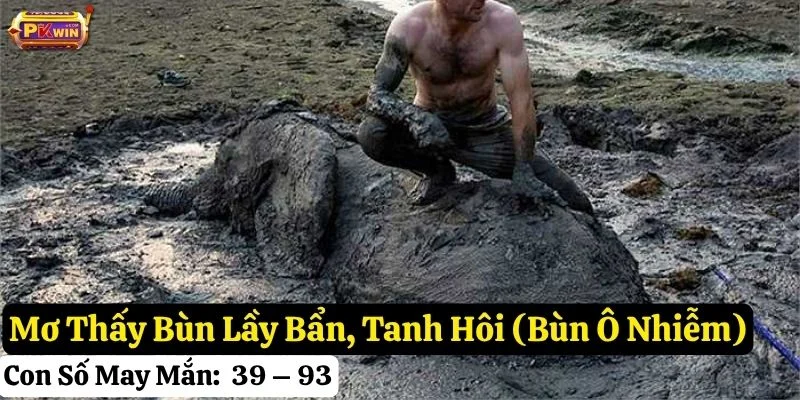 nằm mơ thấy bùn lầy