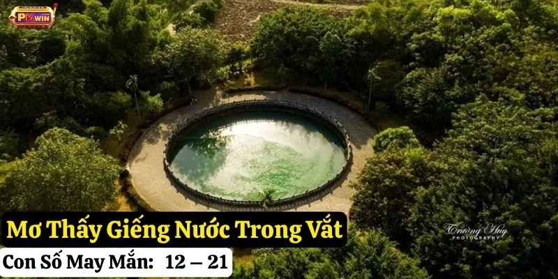 nằm mơ giếng nước