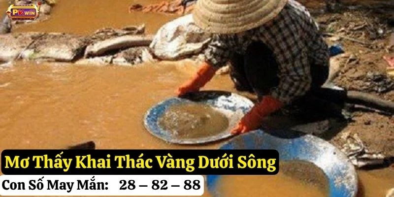 nằm mơ khai thác vàng