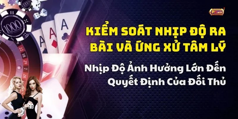 các mẹo chơi bài catte hay