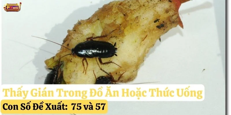 thấy con gián đánh gì