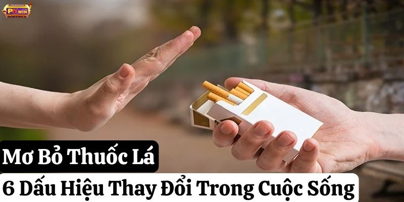 Mơ Bỏ Thuốc Lá: 6 Dấu Hiệu Thay Đổi Trong Cuộc Sống Sắp Tới