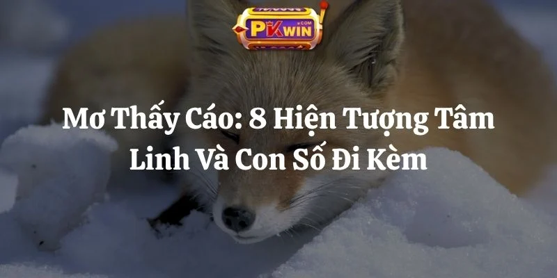 Mơ Thấy Cáo: 8 Hiện Tượng Tâm Linh Và Con Số Đi Kèm