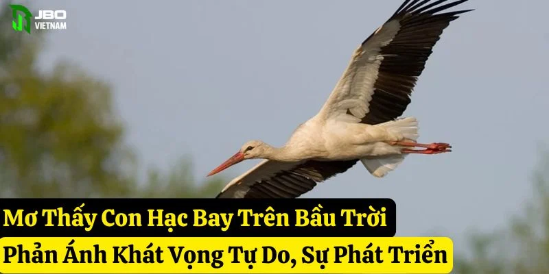 mơ thấy con hạc